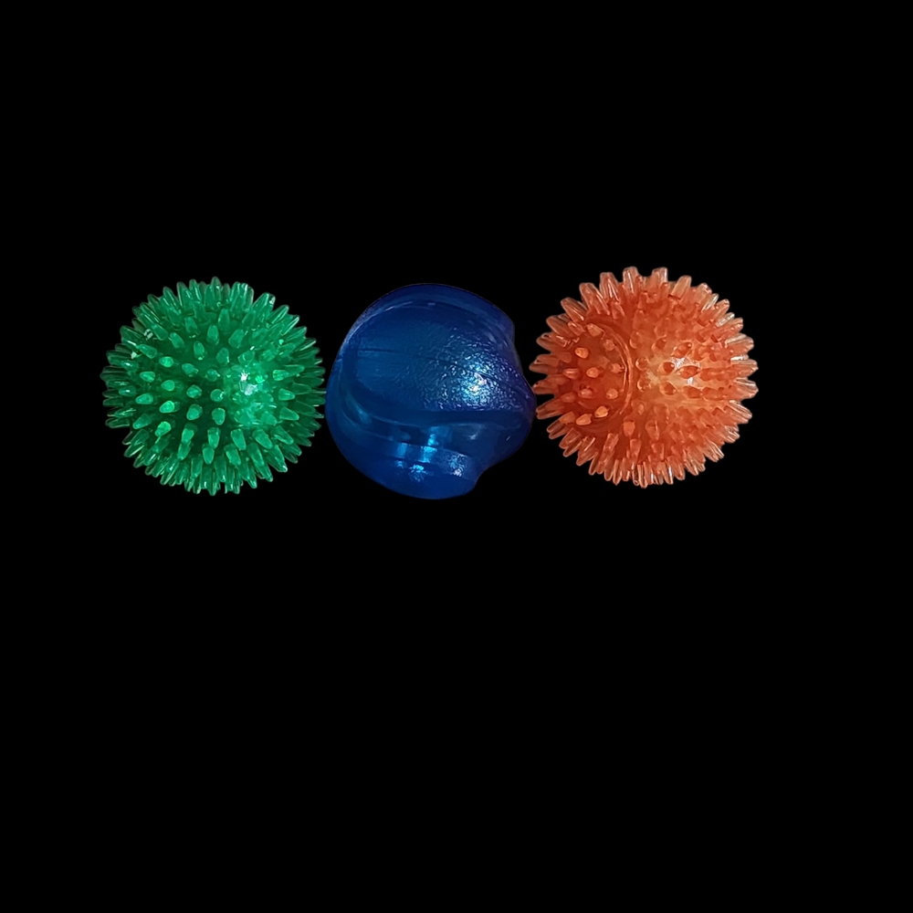 Spiky Dog Toy Set - Green, Blue, and Orange